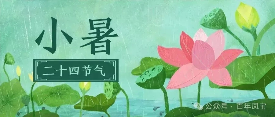 二十四节气|小暑