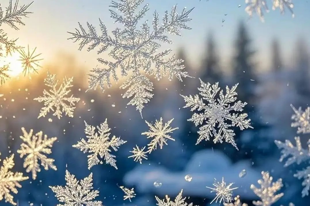 二十四节气|大雪