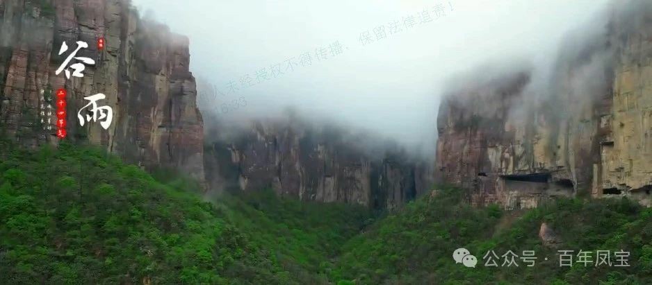 二十四节气|谷雨